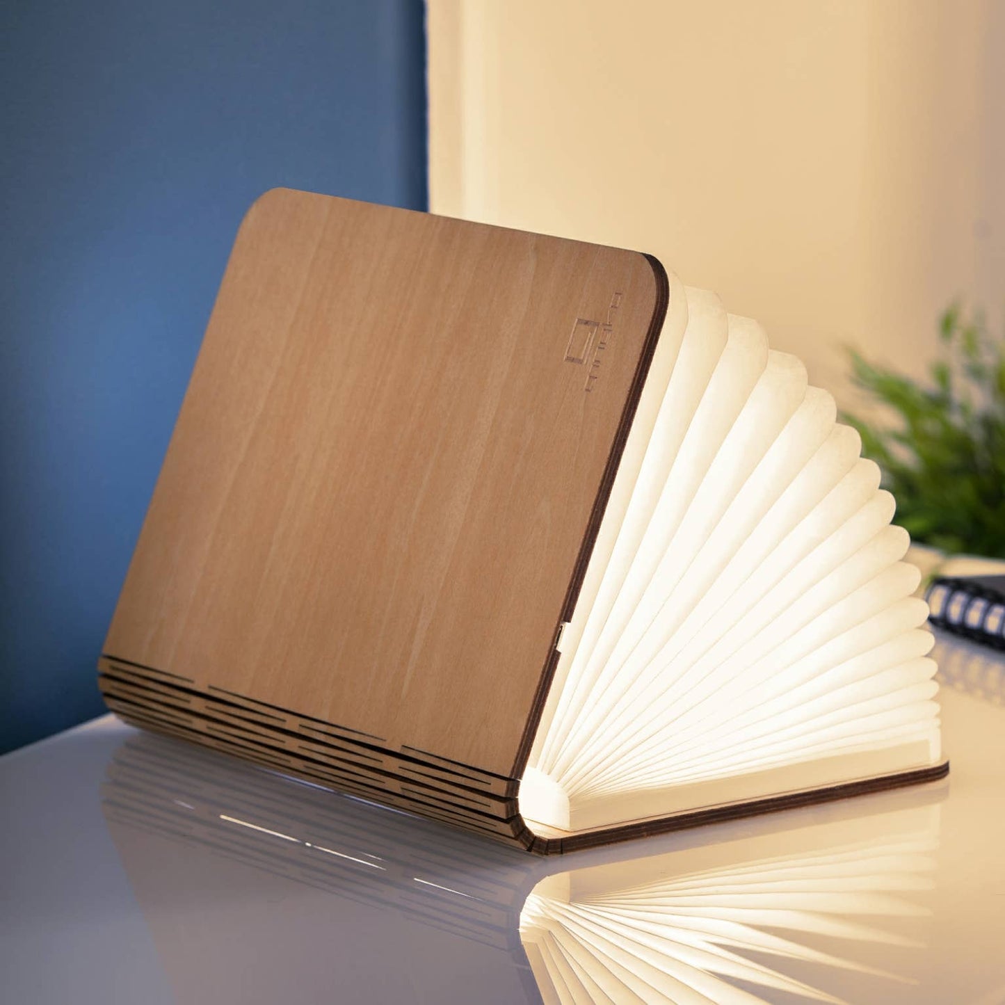 Smart Book Light: Maple / Large