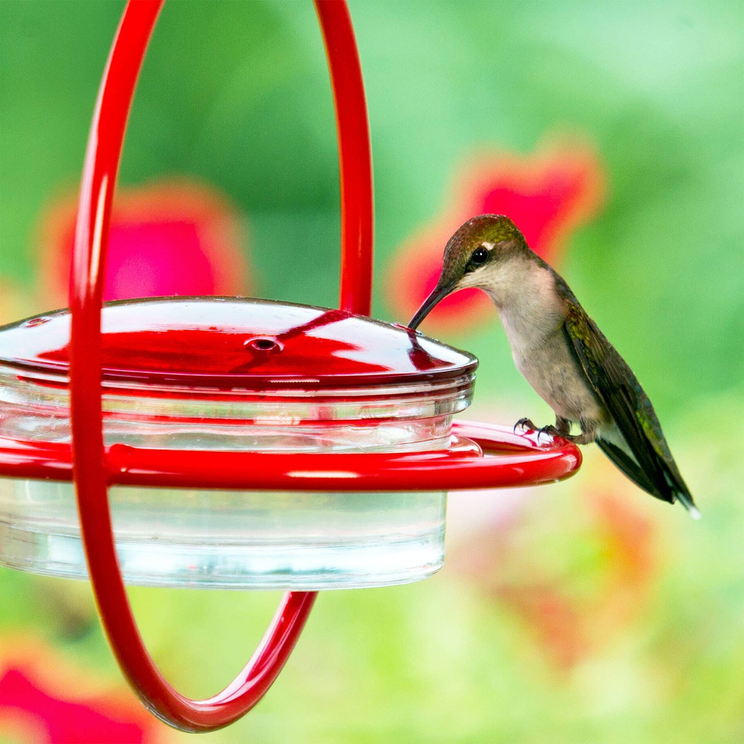 Hummble Bold Hummingbird Feeder Red