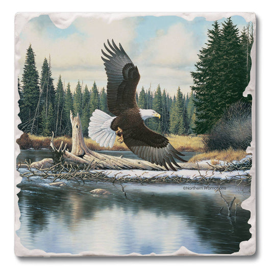 Eagle Spirit Coaster
