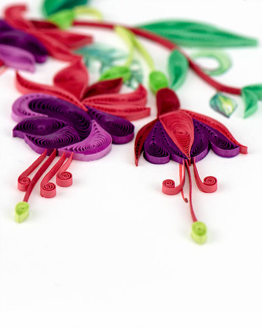 Fuchsia
