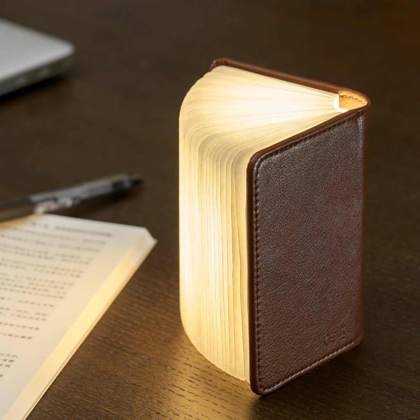 Leather Smart Book Light: Black Leather / Mini