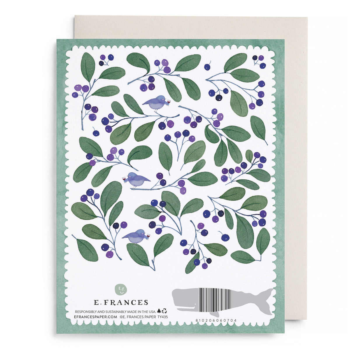 Chirps and Cheers Thank You Boxed Card Set