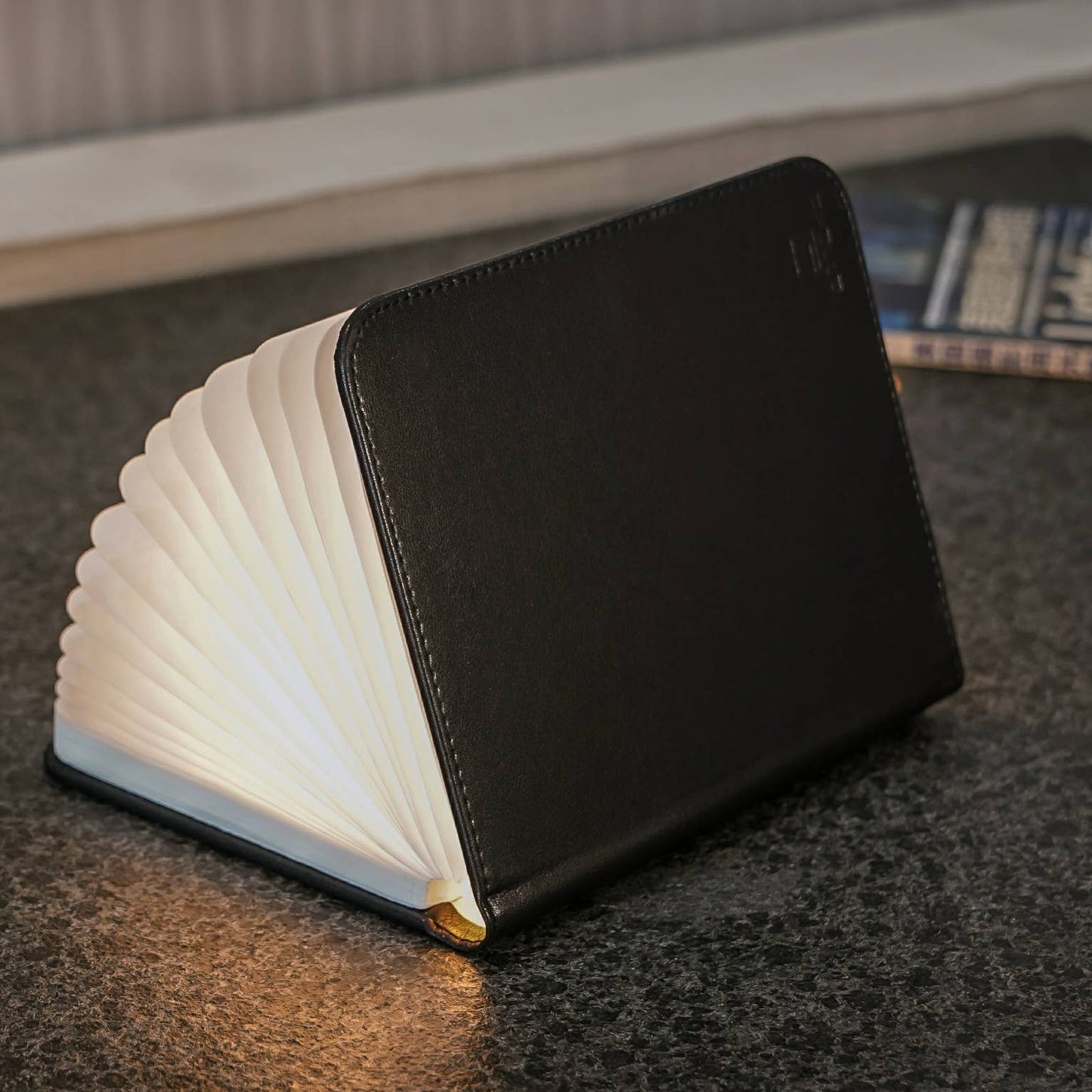 Leather Smart Book Light: Black Leather / Mini