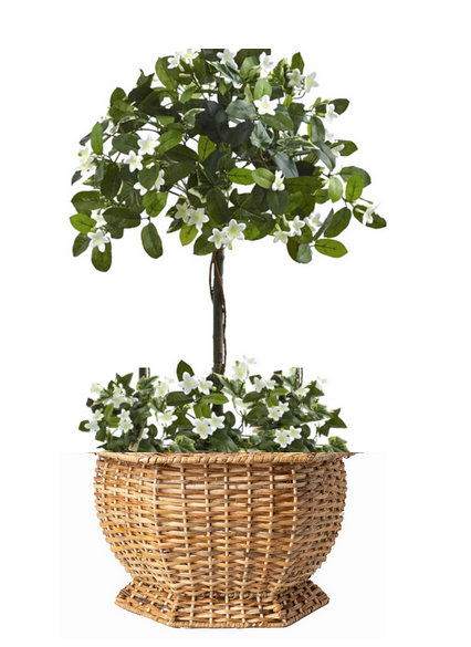 Hexagon Wicker Planter - Medium
