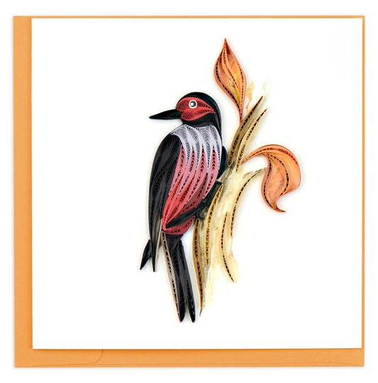 Lewis's Woodpecker Card