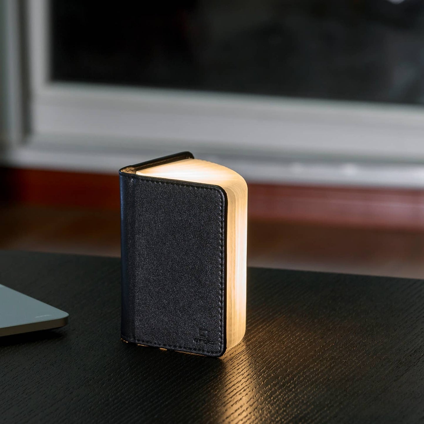 Leather Smart Book Light: Black Leather / Mini