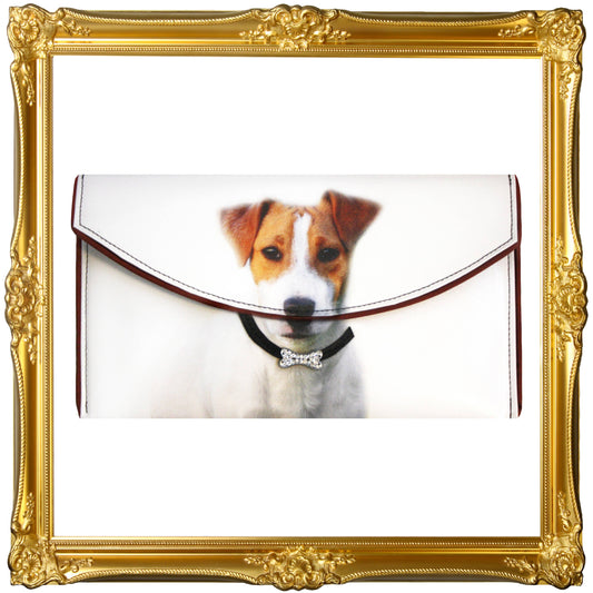 Jack Russell Terrier