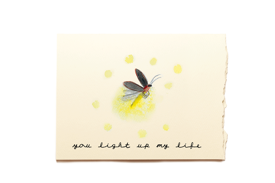 Love Friendship - Firefly