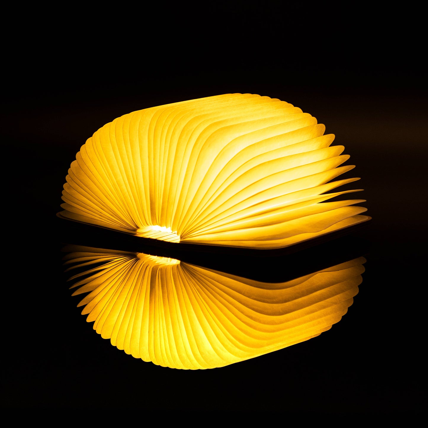 Smart Book Light: Maple / Mini