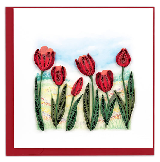 Red Tulip Field