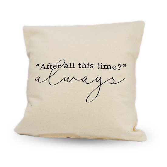 After All This Time Pillow